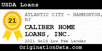 CALIBER HOME LOANS  USDA Loans gold