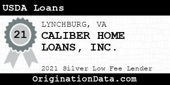 CALIBER HOME LOANS  USDA Loans silver