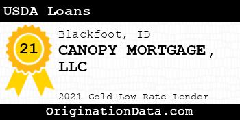 CANOPY MORTGAGE USDA Loans gold