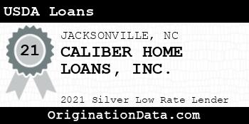 CALIBER HOME LOANS  USDA Loans silver