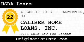 CALIBER HOME LOANS USDA Loans gold