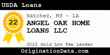 ANGEL OAK HOME LOANS USDA Loans gold